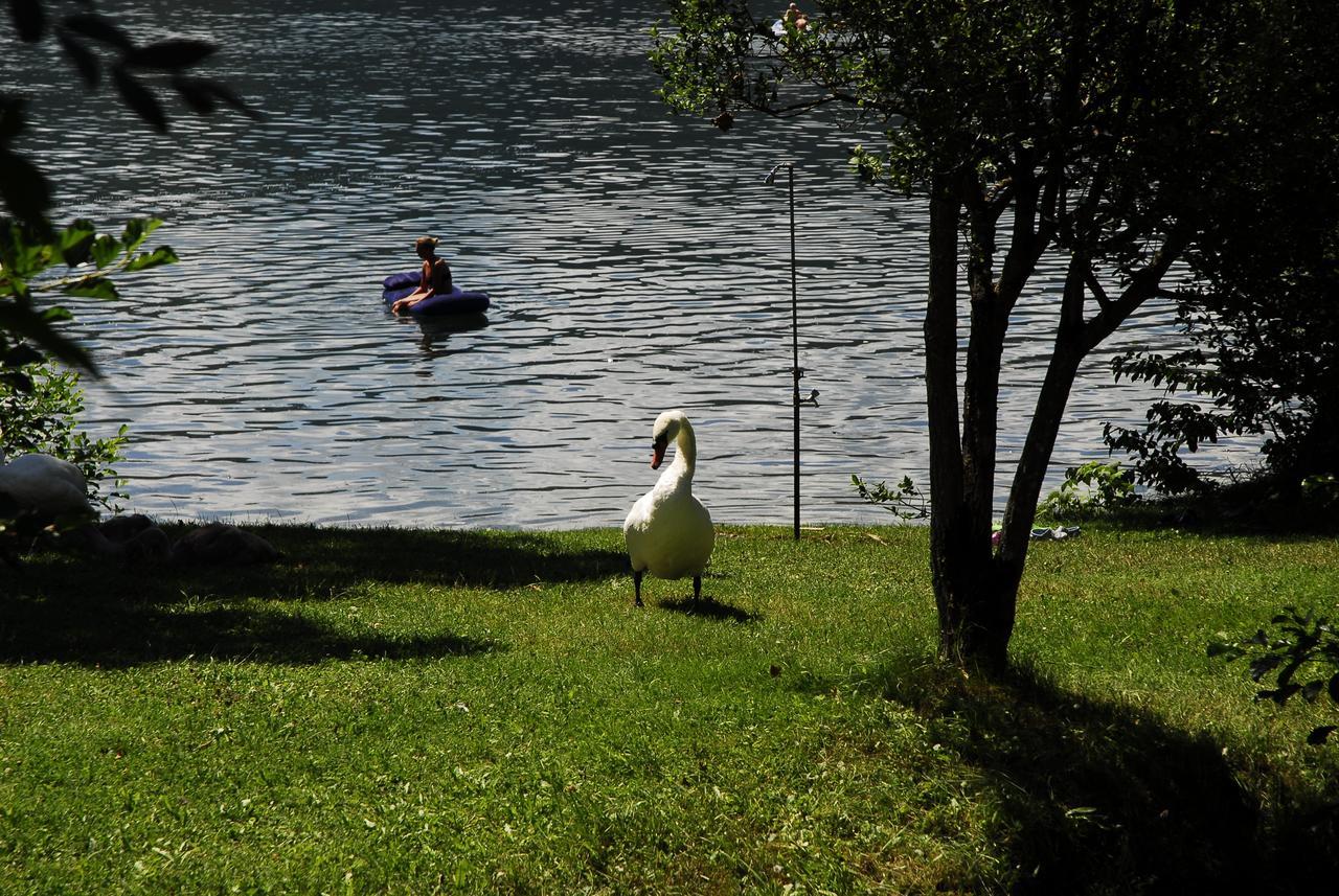 Camping Neubauer - Mobilheime Hotell Millstatt Eksteriør bilde